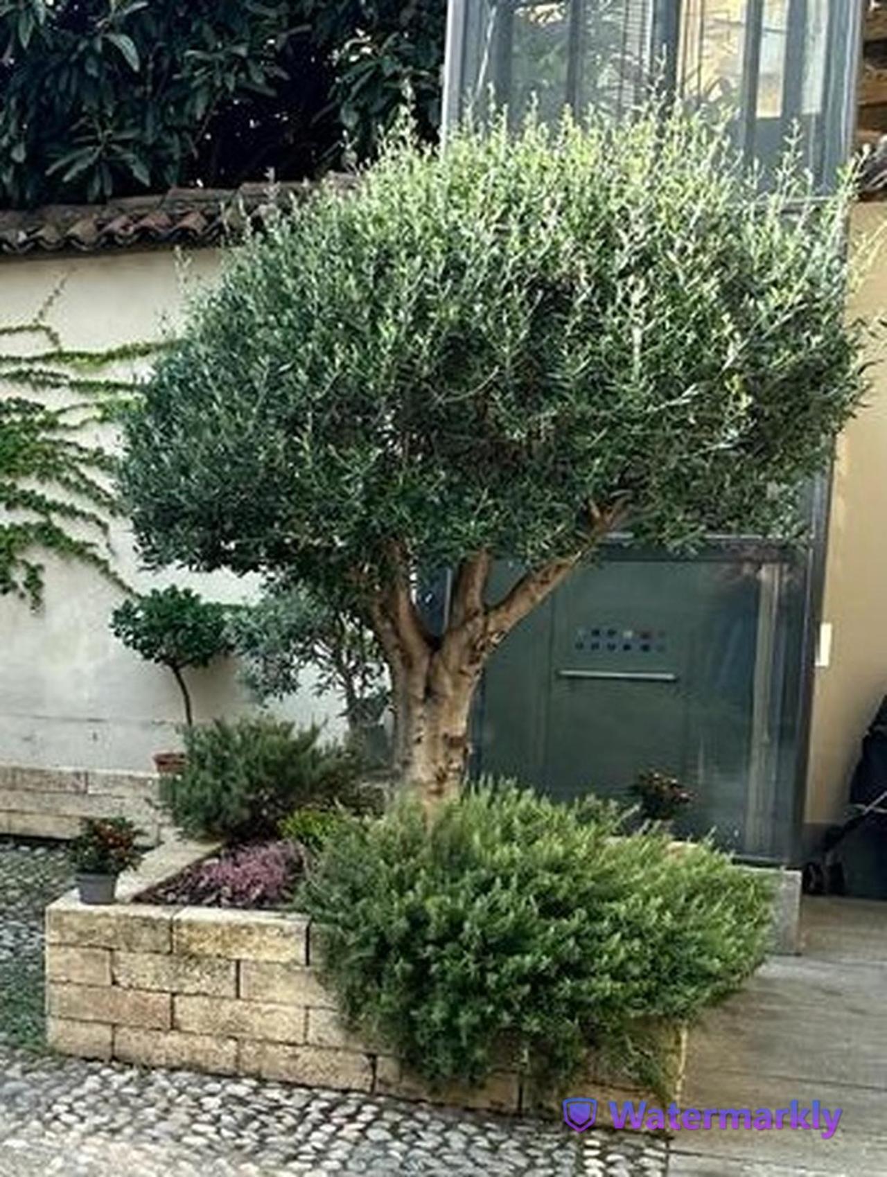 Le Tre Ca', Ca' Cecilia, Ca' Nina, Ca' Vittoria Appartement Asti Buitenkant foto